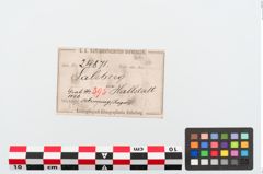 Etiketten zu Bronzebuckelarmreif (NHMW-PRAE-024871)